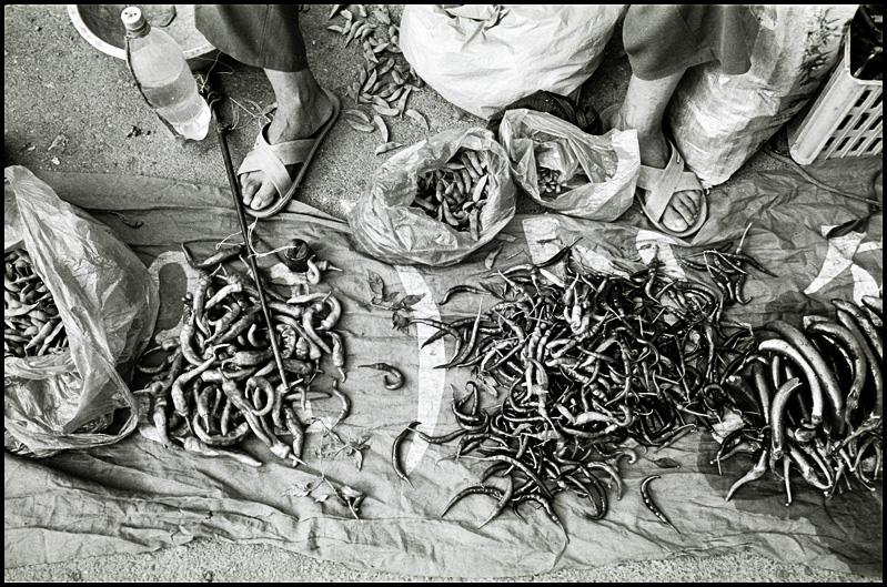 Mecato cina5 - ©copyright Marco Giardini